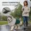 Pet Raincoat-132283235