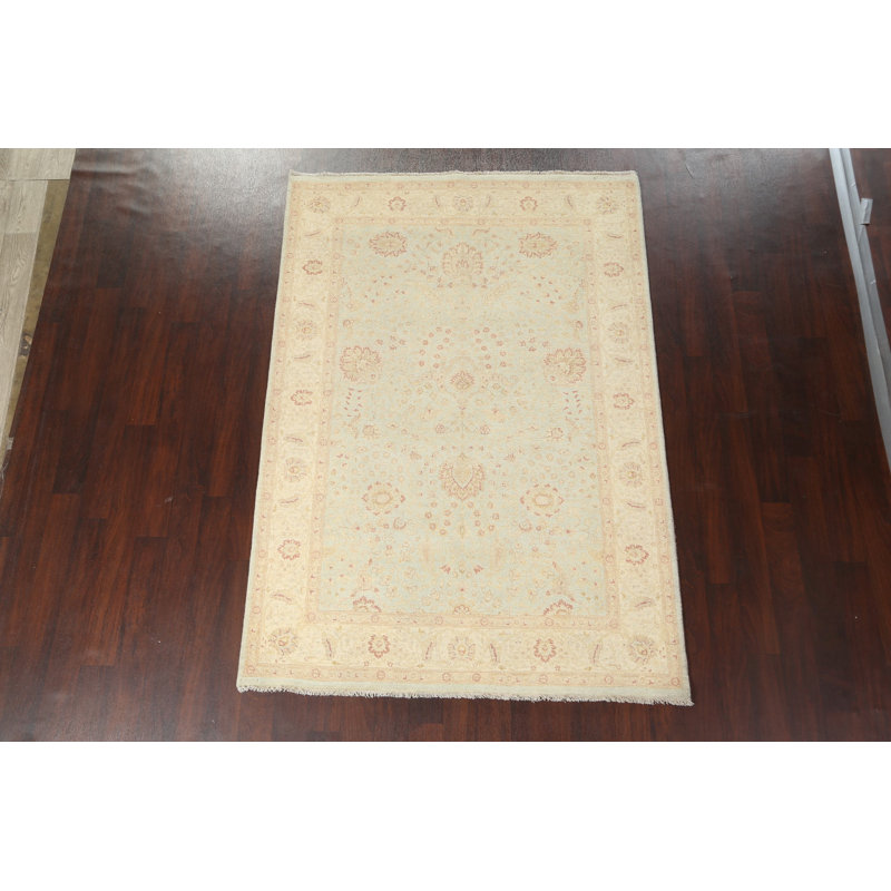Tapis de couleur végétale Peshawar Chobi noué à la main 6 x 8