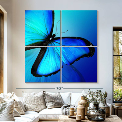 Brampt brillant Morpho papillon