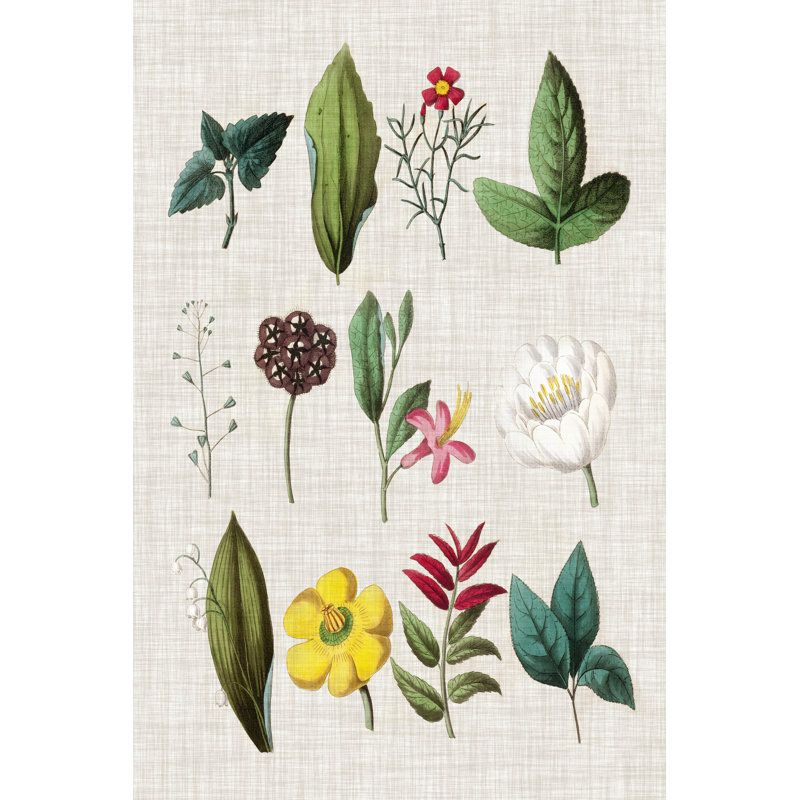 Floral Assemblage II by Vision Studio - Wrapped Canvas Print, 46cm H x 30cm W