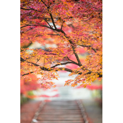 Kyoto In Autumn by Torsakarin - Wrapped Canvas Print