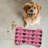 Sketchy Sentiments - 1 Piece Bone Shape Feeding Mat