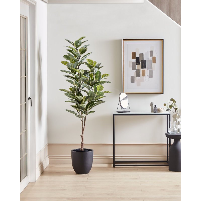 160cm Faux Ficus Plant in Planter