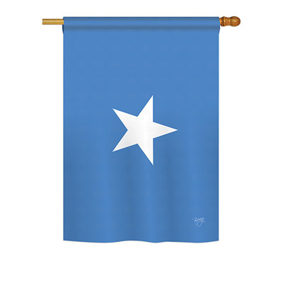 Double Sided Polyester House Flag