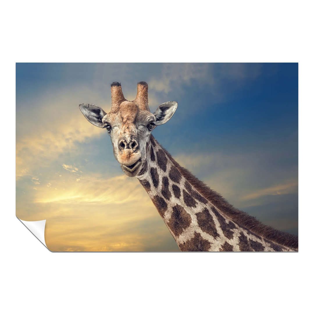 Panther Print Fine Art Prints Blue Sky & Smiling Giraffe Close Up Wildlife Artistic Unframed Poster, Pictures For Home Walls, Bedroom, Living Room & B