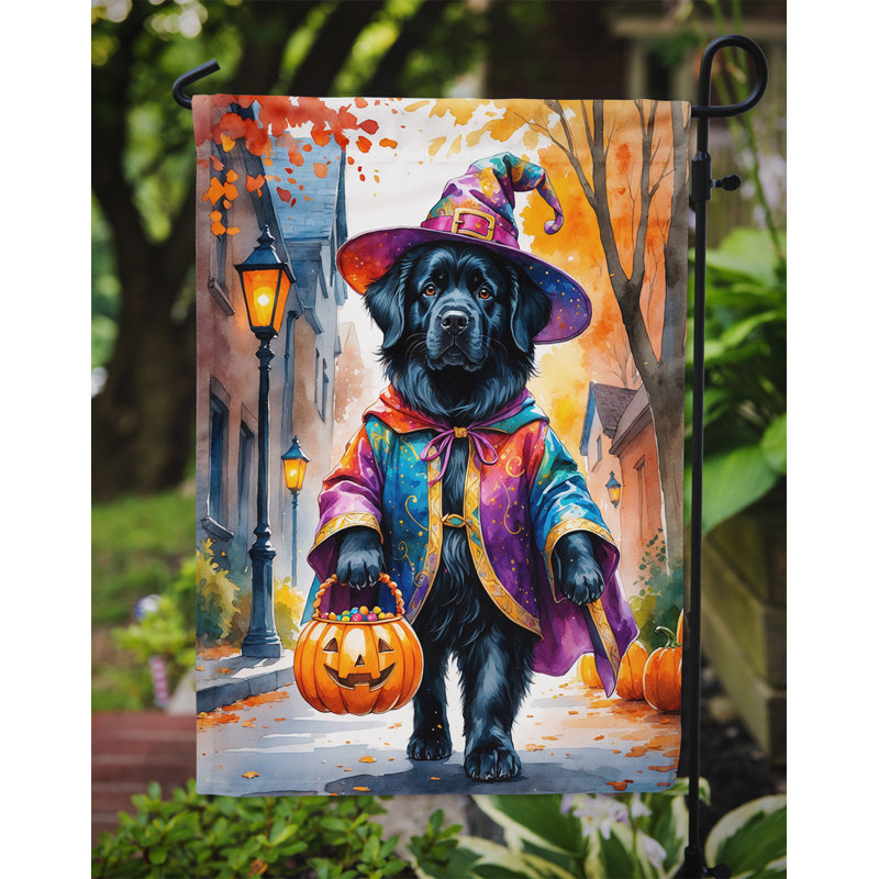 Drapeau du jardin Mastiff, Terre-Neuve