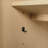 Gabi 72 in. Double Sink Bathroom Vanity-361873870