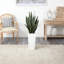 Emele 48'' Faux Sansevieria Plant in Stone Planter