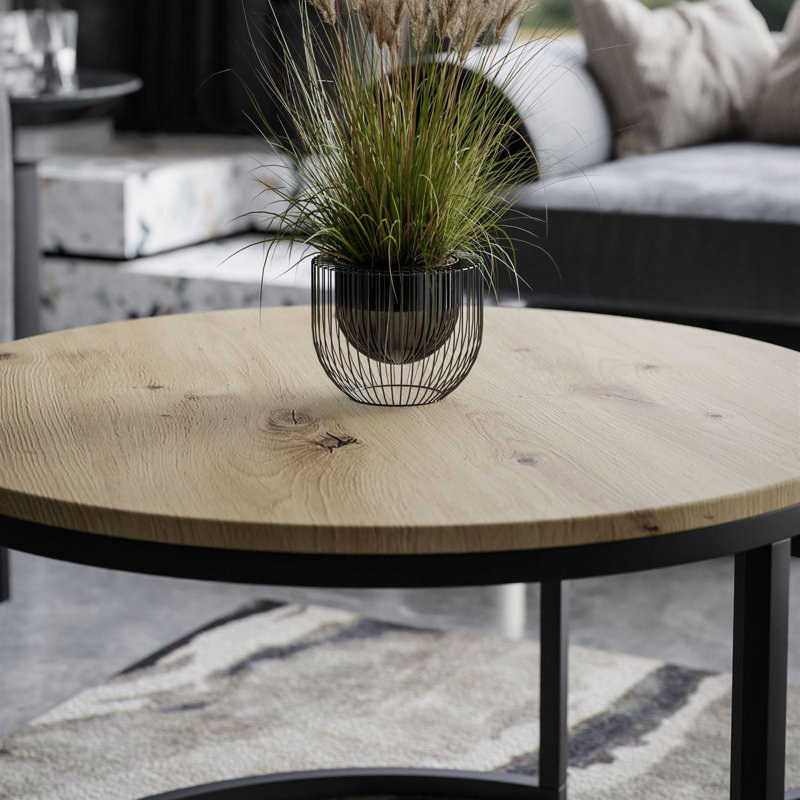 Shivendra Coffee Table, Artisan oak / Black