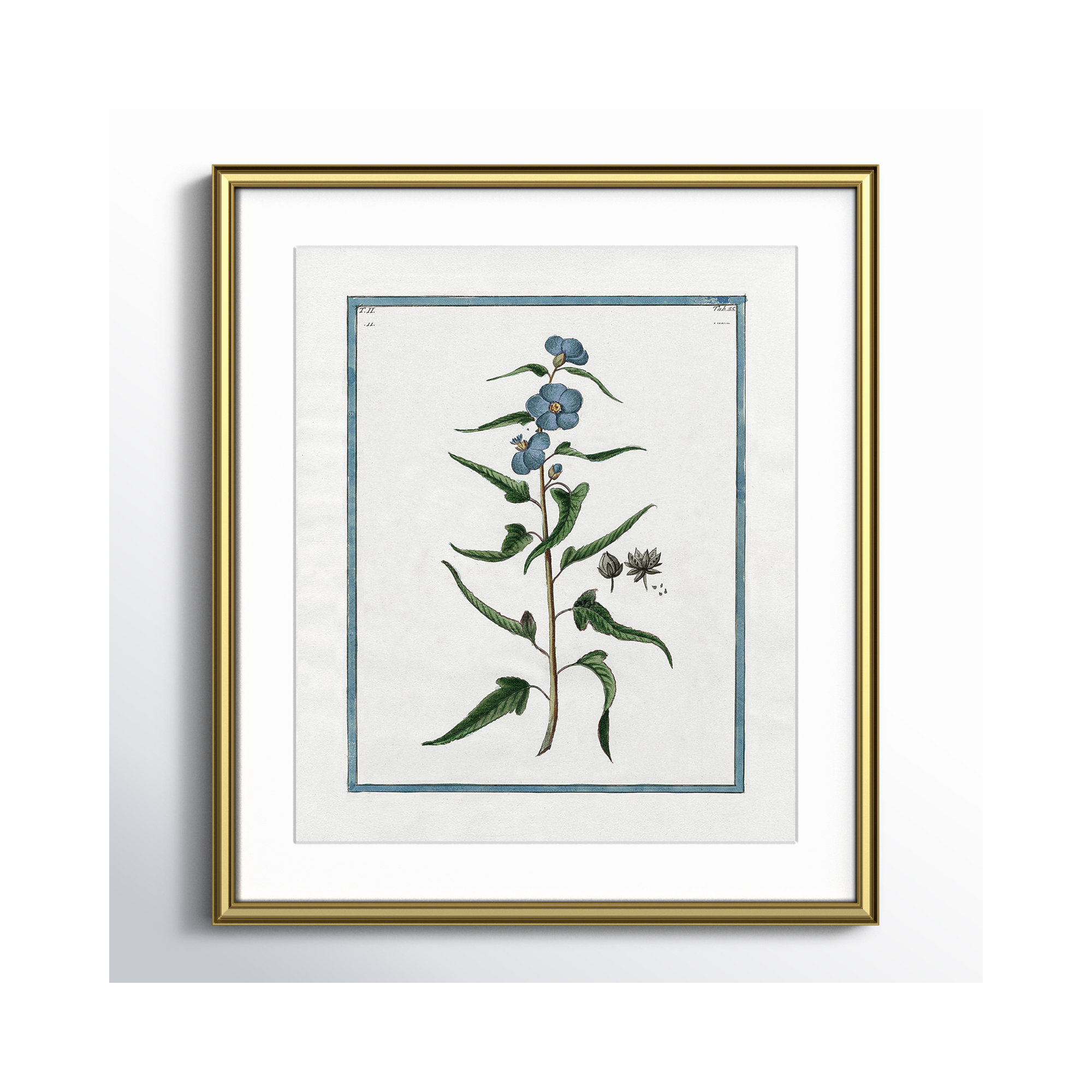 Shabby Elegance Botanical I - Framed Art Full Bleed, 14.25" W x 16.25" H, Gold Framed