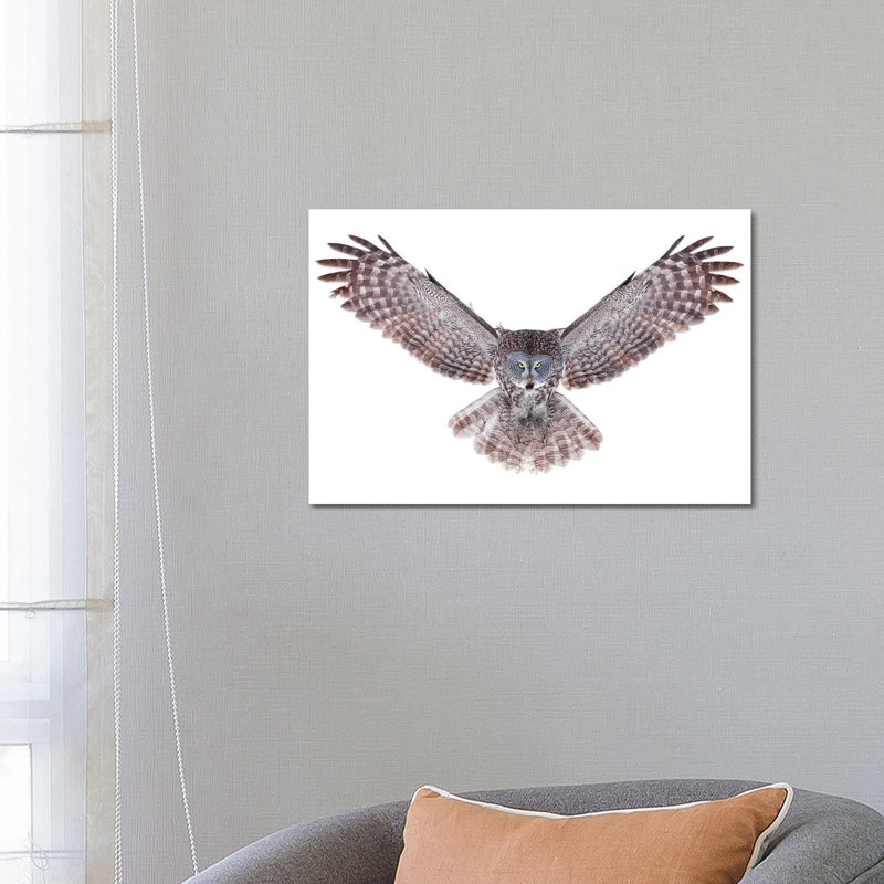 Great Grey Owl by Jim Cumming - Wrapped Canvas Print