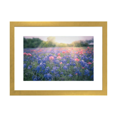«Texas Bluebonnets» par Ann Hudec - reproduction de photo