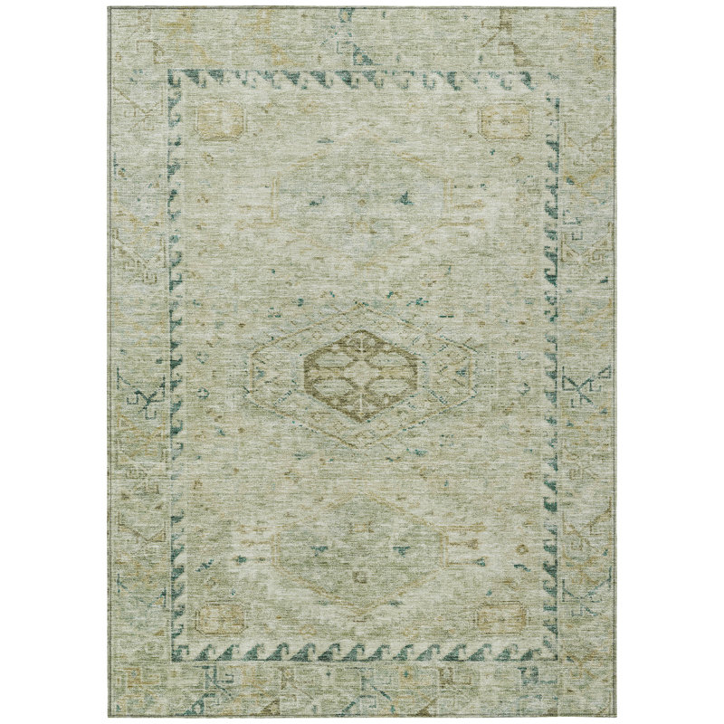 Machine Washable Indoor/Outdoor Earleville ACN2357 Traditional Rug, Rectangle 10' x 14'