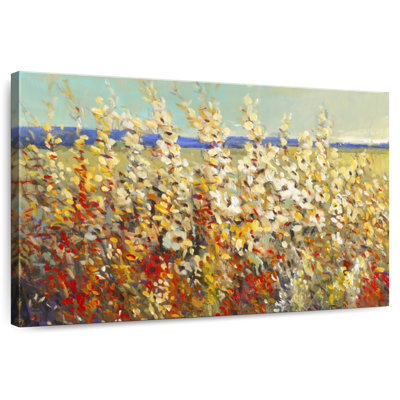 Champ de fleurs printanières II