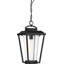 Lanterne suspendue d'extérieur 1 lumière Lucienne