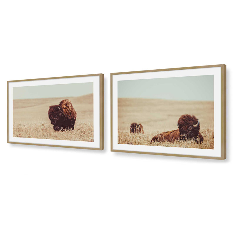Prairie Bisons, ensemble de 2 impressions dans un cadre, Cadre doré brossé, H 12,5 po x l 29,5 po x P 1,25 po
