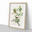 Yellow-Breasted Warbler Birds by John James Audubon - Framed Print-55641812-55641814