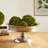 Javonne Aluminum Tray-61168408