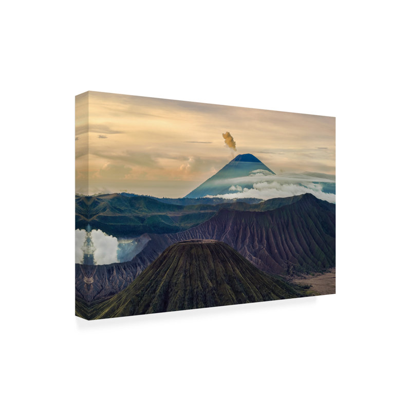 Œuvre d'art sur toile, Bachelor, Ryan, H 16 po x l 24 po