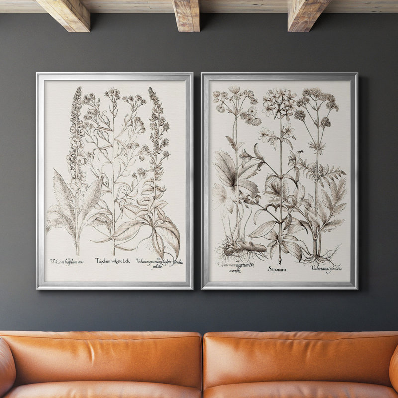 Sépia Besler Botanicals IX - ensemble de 2 reproductions d'art sur toile encadrées, H 41,25 po x l 61 po x P 1,25 po, Argent