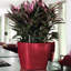Quadro Premium Pot Planter-16493065-16493070