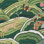 Tissu Rolling Hills
