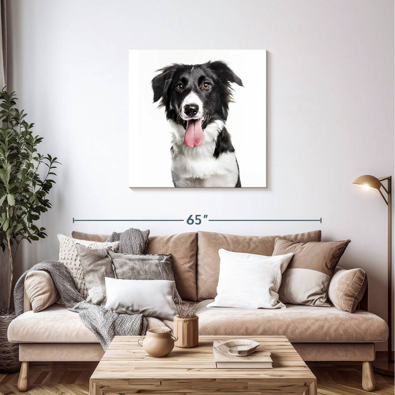 Crowle Border Collie, H 36 po x l 36 po