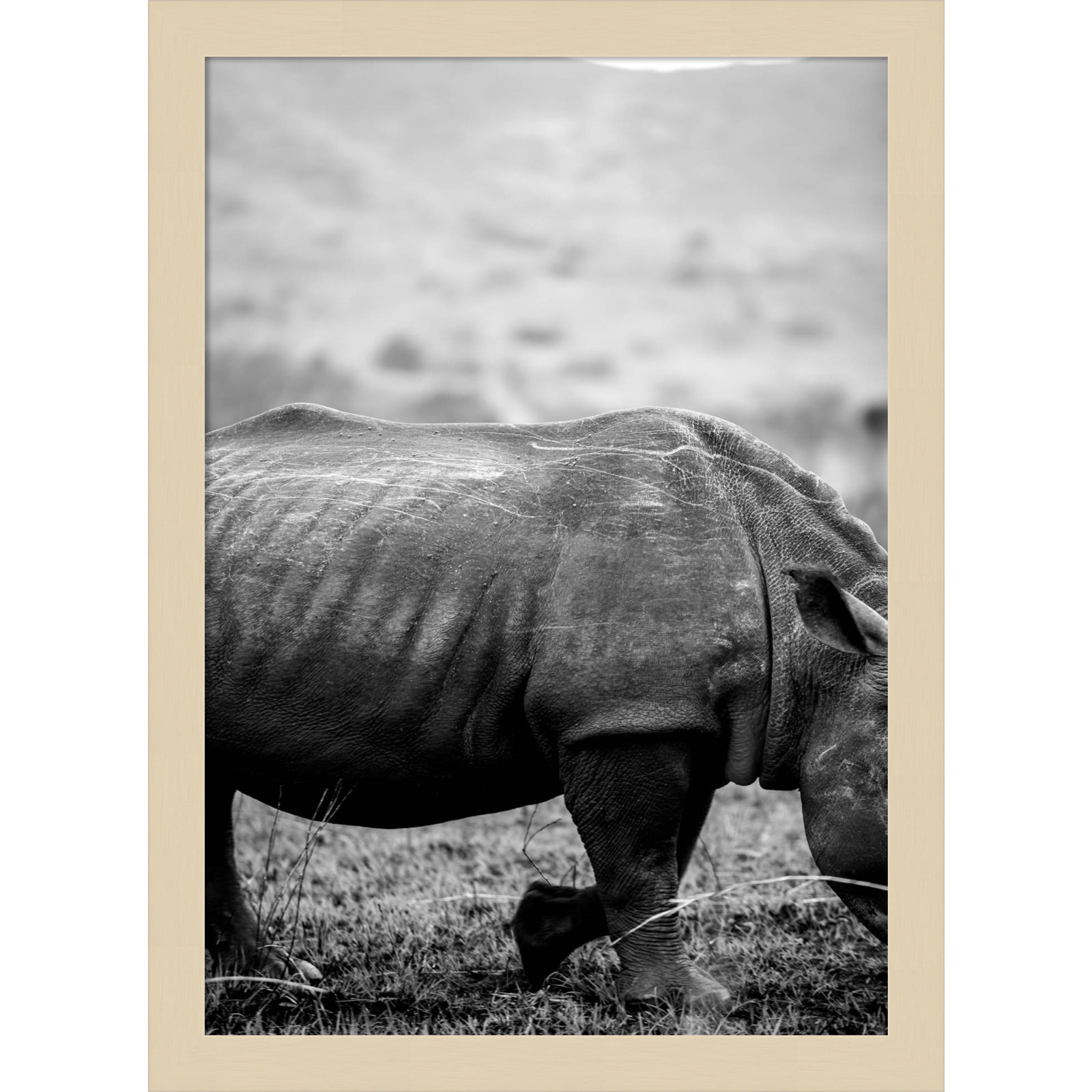 Pepperidge "Black Rhino" Print, Brown, 17" H x 13" W