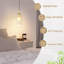 Dayquon 1 - Light Gold Cylinder Pendant