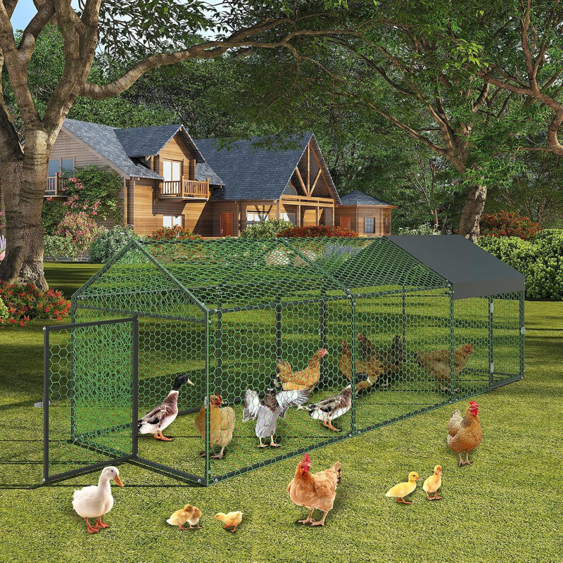 Chicken Coop