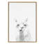 «Alpaca Portrait» par Simon Te, impression sur toile encadrée-1508993497-1565500853