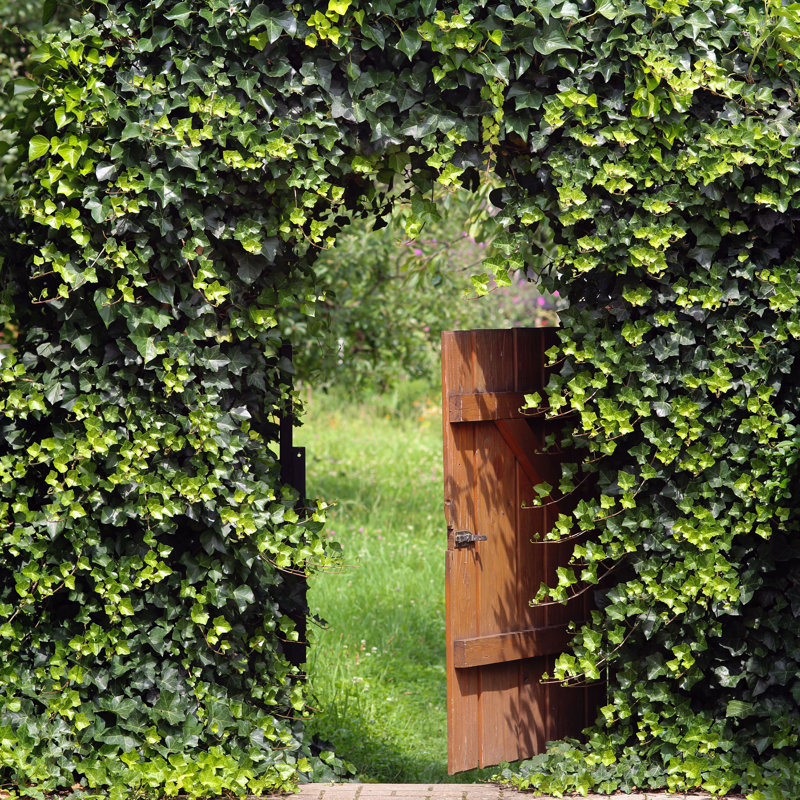 Brandylee " Open Garden Gate " by Terra24, 36" H x 36" W