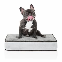 Big Barker 7 Orthopedic Dog Bed - Sleek Edition - Charcoal Gray - Large - 48 x 30 x 7