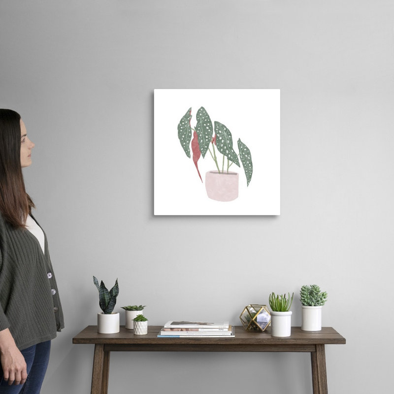 Toile à pois Begonia IV, art mural, Toile tendue, H 20 po x l 20 po