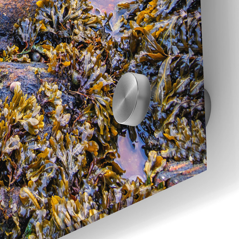 Art mural en verre «Tidal Serenity» par Rick Berk, H 36 po x l 24 po x P 0,2 po