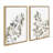 Sylvie Botanical Soft Splitfern and Botanical Soft Maiden Framed Canvas by Sara Berrenson 2 Piece
