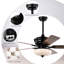 Chert Ceiling Fan