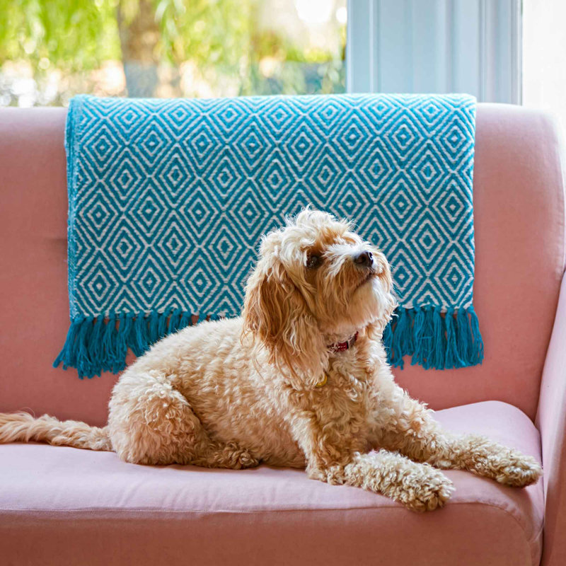 Throw Blanket, Turquoise