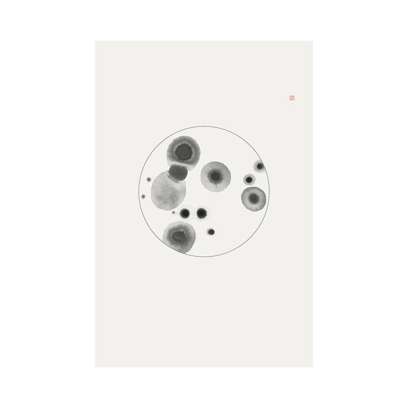 Petri Dish by Thoth Adan - Gallery-Wrapped Canvas Giclée on Canvas, Canvas, 30.48 cm H x 45.72 cm W
