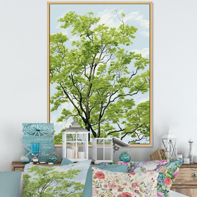 " American Basswoods Breeze III "