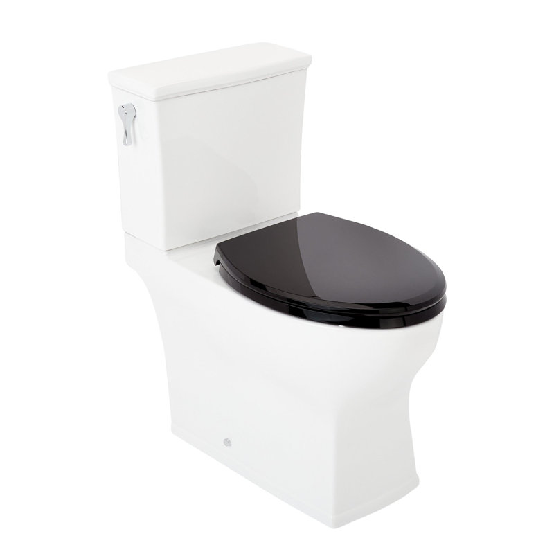 Carraway 1.28 GPF Two Piece Elongated Toilet, Black/White/Polished Chrome