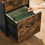 Alieen 2 Drawer Filing Cabinet