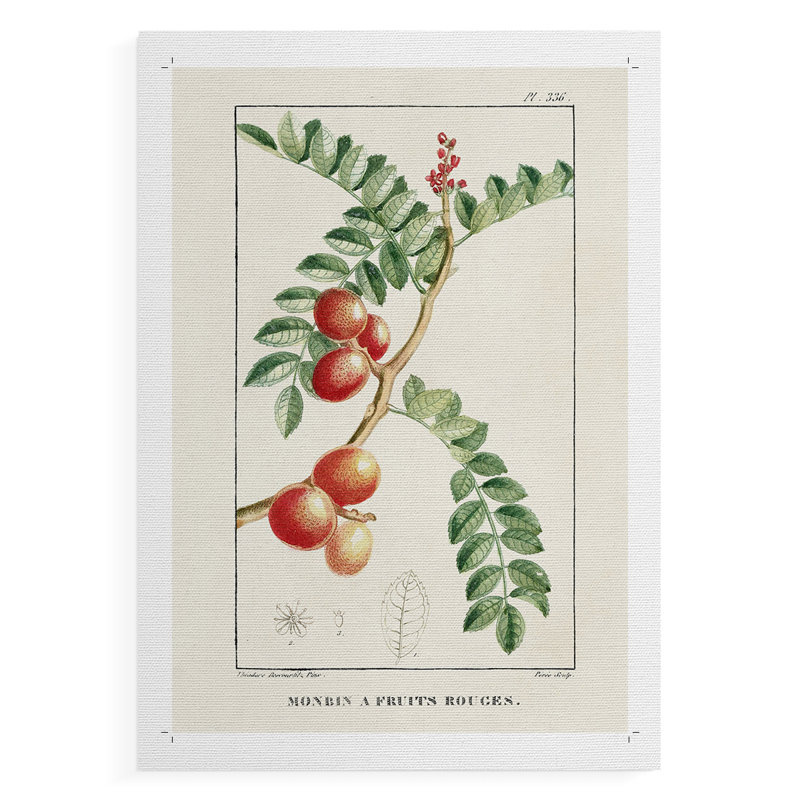 Turpin Tropical Botanicals III - Impression sur toile seulement - NON-CADRE, H 12 po x l 8 po
