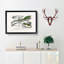 Green Iguana and Lizard by Charles D'Orbigny - Picture Frame Painting Print-55608976-55608981