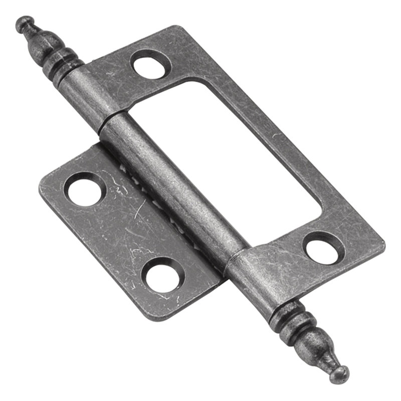 Self Mortise Flush/ Full inset Face Frame Free Swinging - Silver Medallion - Cabinet Door Hinges (Set of 20), 20