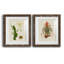 Elegant Tropicals III - impression d'art graphique-752906390-752906391-753135773