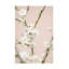 Fleurs de cerisier sur toile-1184666358