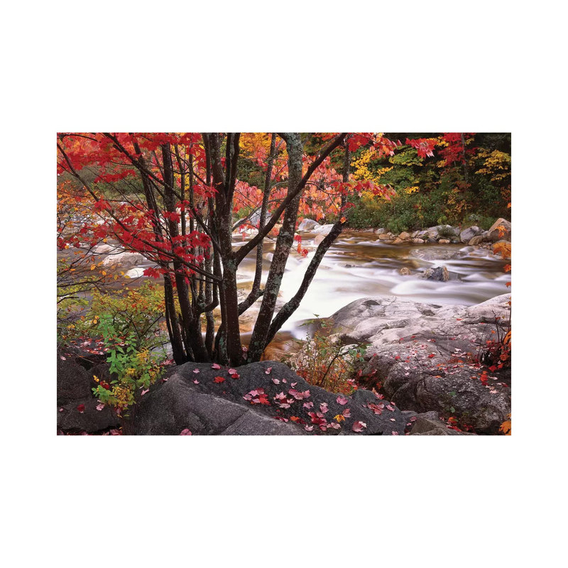 Swift River Near Rocky Gorge, White Mountains National Forest, New Hampshire by Tim Fitzharris - Wrapped Canvas Print