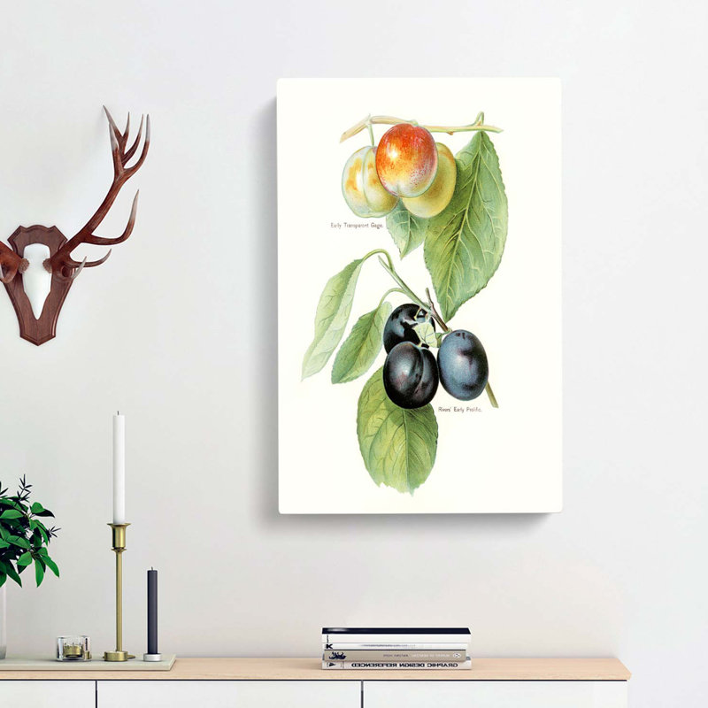 Vintage Illustration Of Plums - Wrapped Canvas, 50cm H x 35cm W x 3cm D