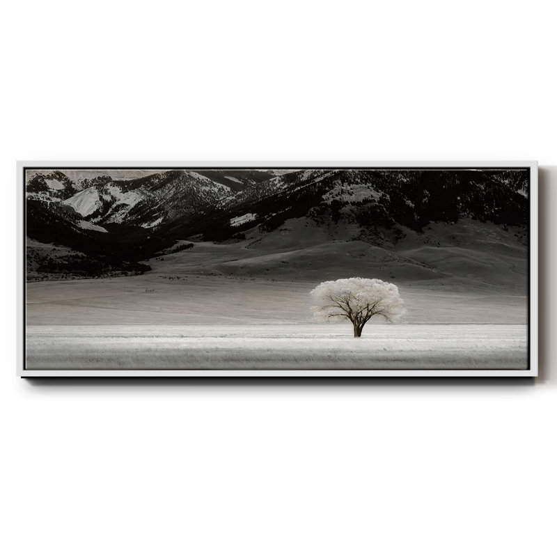 Arbre solitaire, reproduction sur toile, Blanc, H 24 po x l 60 po x P 1,5 po